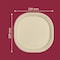 Chuk Plate 9 inches square round, Natural Molded Fiber, 500 Count Case, 500PK PL-09-SR - alternate 4