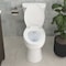 Craft And Main Elongated Toilet, pc, Easley, Guard TL-5800AFH-EW - alternate 5