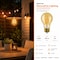 Euri Lighting A19 LED Filament Bulb, 7W, 600 lm, 60W Eq., 2200K, E26, Dimmable, Amber Glass, UL VA19-3020ea - alternate 5