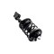 Fcs Struts Suspension Strut And Coil Spring Assembly 3331595L - alternate 3