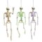 Gerson 24 in. Skeletons Halloween Decor 2738290 - alternate 1