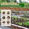 Edendirect Heavy-Duty 6 ft. x 50 ft. Galvanized Steel Chain Link Fence for Garden, Ranch & Security Protection ED-X0043YVOAP - alternate 5