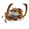 Caterpillar HARNESS ASM, OEM 1864188 - alternate 3