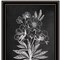 Homeroots Set Of Two Vintage Chalkboard Blooms Black Framed Print Wall Art, 2PK 407975 - alternate 4