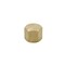 Proline Series Brass 1/4-in FIP Cap BF-736NLB - alternate 1