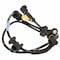 Motorcraft ABS Wheel Speed Sensor,  BRAB446 - alternate 4