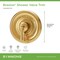 Symmons Braston Wall Mounted Shower Valve Trim with Volume Control Lever (Valve Not Included) S5890BBZTRM - alternate 3