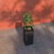 Leisuremod Basalt Tall Square Fiberstone & MgO Clay Planter, Weather-Resistant, Fully Assembled BP20BL - alternate 4