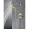 Delta Saylor Monitor 17 Series Shower Trim with In2ition T17235-CZ-I - alternate 3