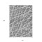 Homeroots 10' X 14' Charcoal Abstract Washable Non Skid Indoor Outdoor Area Rug 559261 - alternate 7
