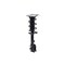 Fcs Struts Suspension Strut And Coil Spring Assembly 1334309L - alternate 3