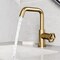 Vigo Ruxton Single Handle Single-Hole Bathroom Faucet in Matte Brushed Gold VG01051MG - alternate 3