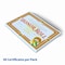 Hayes Honor Roll Certificate Pack of 5 VA612-5 - alternate 4
