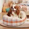 Simple Deluxe FluffyDream Dog Bed for Small Dog, Super Soft Pet Bed Furniture, Suitable for Dogs Up to 25 lbs, 21 PTDBEDCUDFLUY2117COG - alternate 6