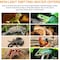 Simple Deluxe HealSmart Reptile Heat Lamp 150W Ceramic Heat Emitter, No Light Emitting Heat Bulbs for Amphibian P PTBULBINVISIBLE150WHT - alternate 4