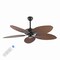 Jonathan Y Raffles 52" Bohemian Industrial Metal/Plastic Mobile-App/Remote-Controlled 6-Speed Palm Blade Ceilin JYL9719C - alternate 1