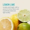 Liquid I.V. Lemon Lime Hydration Multiplier Electrolyte Drink Mix, 0.56 Ounce, 96PK LVS-8003 - alternate 7