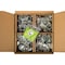 Century Components X-Bracket Rollout Shelf Kit XBONLY50 - alternate 1