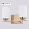 Vaxcel Park Ridge 2-Light Vanity Light, Champagne Gold, Frosted White Glass, 13-In. Wide W0571 - alternate 4