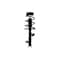 Fcs Struts Suspension Strut And Coil Spring Assembly 1333741L - alternate 1