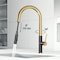 Vigo Greenwich Single-Handle Pull-Down Sprayer Kitchen Faucet in Matte Brushed Gold and Matte Black VG02029MBMGG - alternate 4