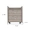 Homeroots 22" Gray Wood Two Drawer Nightstand 543671 - alternate 2