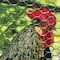 Tenax Tenax 2 ft. H X 25 ft. L Polyethylene Poultry Fence 3/4 in. 320663 - alternate 3