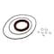 Agco SEAL KIT, AGCO OEM 544380D1 544380D1 - alternate 4