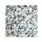 Apollo Tile Black 11.8 in x 11.8 in Shell Polished Floor and Wall Mosaic Tile 19.33 sqft/case, 20PK APLJWS8805A - alternate 1