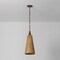 Troy Lighting Kenzo 8.5in wide 1 Light Pendant in Bronze Leaf F2709-BRL - alternate 2