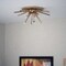 Vaxcel Aria 22.5-in Natural Brass 4 Light Mid Century Modern Sputnik Flush Mount Ceiling Fixture with Glass Accents C0250 - alternate 6