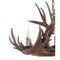 Jonathan Y Nelle 28.5" Adjustable Resin Antler 6-Light Chandelier, Brown JYL6302A - alternate 9
