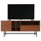 Leisuremod Rochester Rectangular TV Stand with Enclosed Storage and Powder Coated Iron Legs, Walnut RTS60NW - alternate 3