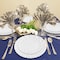 Smarty Had A Party Clear Flair Plastic Dinnerware Value Set (144 Dinner Plates + 144 Salad Plates), 288PK 210CLVP-CASE - alternate 1