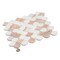 Apollo Tile Rosendal 11x11 in. Polished Thassos, Norway Rose Fish-shaped Mosaic Tile (4.2 sq ft/case) 5PK APLNOR88SC6A - alternate 4