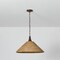 Troy Lighting Kenzo 21in wide 1 Light Pendant in Bronze Leaf F2721-BRL - alternate 4