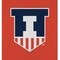 Coverking UNIVERSAL SEAT VEST DESIGNER 1PC, UNIVERSITY OF ILLINOIS, ELA20 USVELA20 - alternate 2