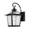 Homeroots Matte Black Terrarium Shape Wall Light 398645 - alternate 1