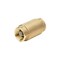 Homewerks 1 in. Lead Free Brass FIP x FIP Spring Check Valve 241-2-1-1 - alternate 2