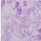 Homeroots 10' X 14' Lavender And Purple Floral Washable Indoor Outdoor Area Rug 583123 - alternate 6