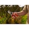 Felco One-Hand pruning shear, High Performance, Classic Model, The Original, The Icon FELCO 2 - alternate 3