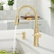 Blanco Empressa Pull-Down 1.5 GPM, Satin Gold 442980 - alternate 5