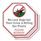 Signmission We Love Dogs but Their Urine Is Kil, 10 inch X 10 inch, Aluminum Metal Signs, 2PK OC-A-2PACK-10-343 - alternate 1