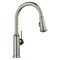 Blanco Empressa Pull-Down 1.5 GPM, Satin Platinum 443245 - alternate 1