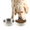 Petmaker Set of 2 Stainless Steel Dog Bowls 32oz Double Wall Insulated Non Slip Metal for Small-Medium Pets PET6424 - alternate 6