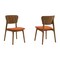 Armen Living Kalia Wood Dining Chair in Walnut Finish with Orange Fabric - Set of 2 LCKACHWAOR - alternate 1