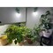 Miracle Led Citrus Tree Starter Grow Light Kit, 4KK Full Spectrum, 2PK 803397 - alternate 4