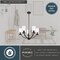 Vaxcel Elmwood Park 5-Light Chandelier, Champagne Gold, Clear Glass, 22.75-In. Wide H0333 - alternate 5