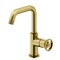 Vigo Cass Single Handle Single-Hole Bathroom Faucet in Matte Brushed Gold VG01047MG - alternate 1