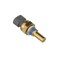 T Series Standard Motor Products, Coolant Temp Sensor,  TX89T - alternate 2